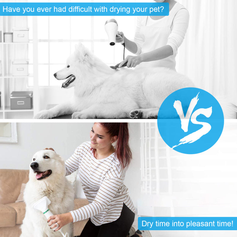 Peigne à souffler pour chiens et chats, nettoyage spécial des poils, séchage à température constante